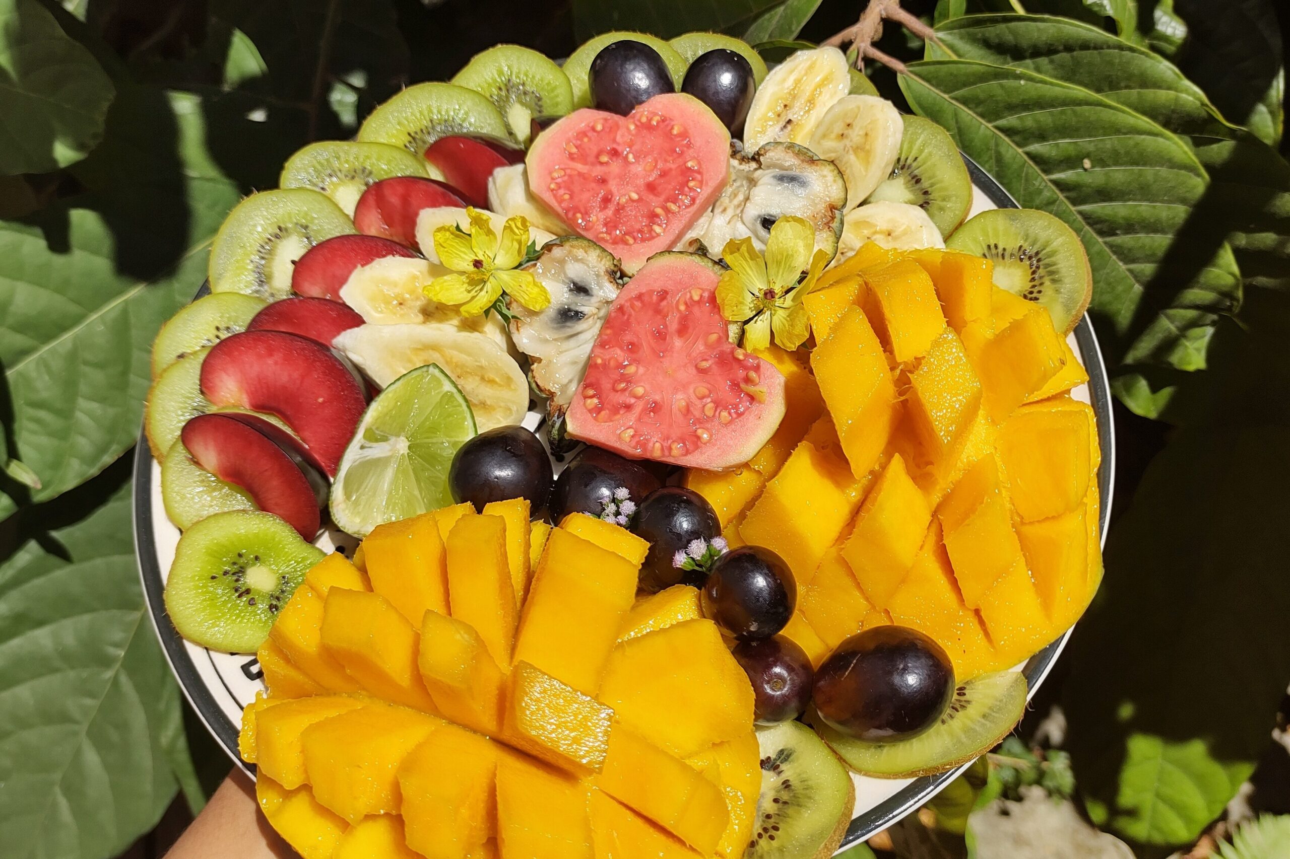 fertility-diet